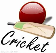 Image result for Copyright Free Cricket Ball Images