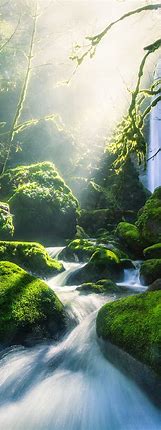Image result for iPhone Nature Screensaver