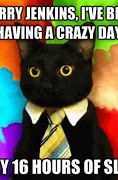 Image result for Office Cat Memes Humor