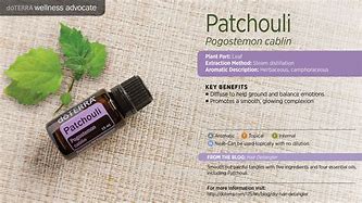 Image result for Essential Oil Blends with Patchouli