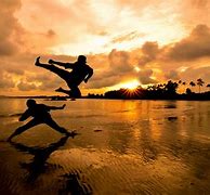 Image result for Action Martial Arts
