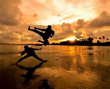 Image result for Number One Martial Art in the World