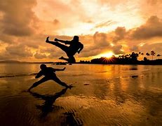 Image result for Call the Martial Arts in the World