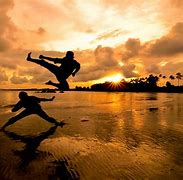 Image result for martial arts'
