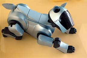 Image result for Aibo Stand