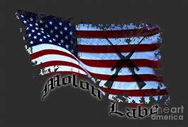 Image result for Molon Labe American Flag