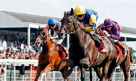Image result for Live Commentary Horse Racing Free