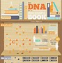Image result for Cool Infographic Design