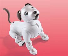 Image result for Pink Aibo