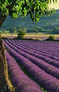 Image result for France Pretty
