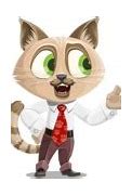 Image result for Business Cat Template