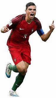 Image result for Pepe Portugal Player