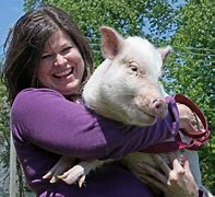 Image result for You Can Put Lipstick On a Pig
