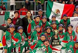 Image result for Mexico Hockey Team
