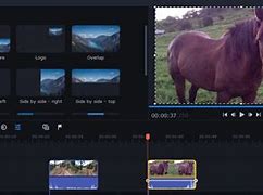 Image result for Movavi Video Suite 21
