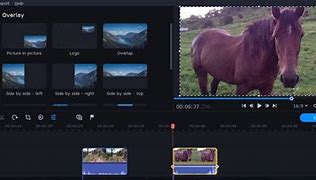 Image result for Movavi Video Suite Nterface Design