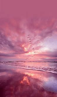 Image result for Cute Pink Sky Aesthetic