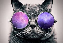 Image result for Galaxy Cat PFP
