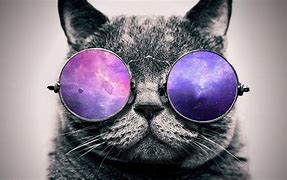 Image result for Galaxy Cat 1920X1080