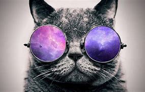 Image result for Pastel Galaxy Cat