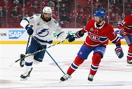 Image result for Montreal NHL Game