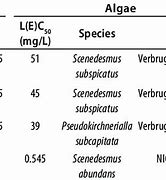 Image result for LC50 Drosohila