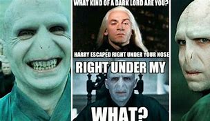 Image result for Funny Voldemort Memes