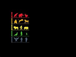 Image result for Phone Background Evolution