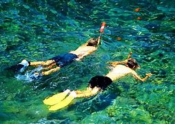 Image result for Snorkeling