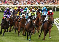 Image result for Horse Racing Finishing Straight Pics
