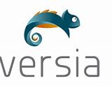Image result for Versia Logo