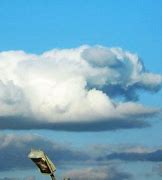 Image result for Wallpaper Dog Cloudy Sky