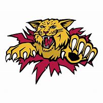Image result for Wildcat SVG Files