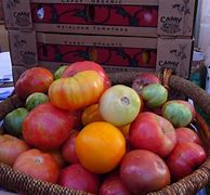 Image result for Organic Farm Produce