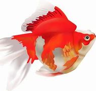 Image result for Fish Clip Art Black and White