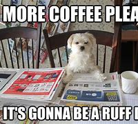 Image result for Dog Coffee Meme