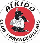Image result for Aikido Logo