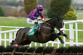 Image result for Race Horse 8