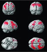 Image result for work memory brain region