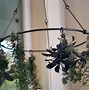Image result for Herb Drying Rack