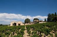 Image result for Roger Perrin Chateauneuf Pape Blanc
