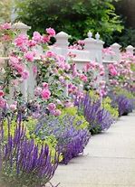 Image result for Pink Garden Designs