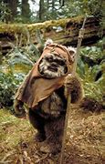 Image result for Cute Ewok Star Wars