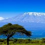 Image result for kilimandżaro