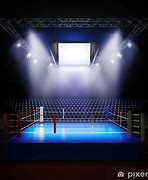 Image result for Boxing Ring Lights