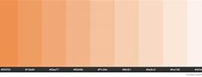 Image result for Creamsicle Color Palette