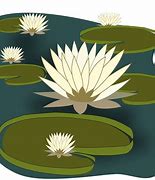 Image result for water lilies clip arts