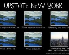 Image result for Funny New York State Memes