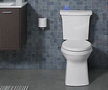 Image result for Kohler Toilet Flush