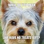 Image result for Extremely Funny Dog Jokes